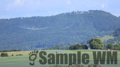IMG_0584.JPG