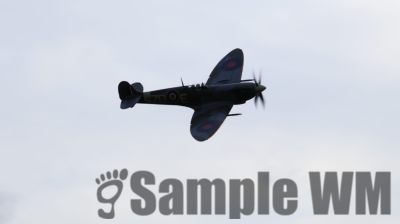 IMG_1304
Keywords: junkers,Mustang,P51,Electra,Blanik,Messerschmitt,ME262,BF 109,Spitfire,Corsair,Lockheed,P38 Lightning