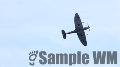 IMG_1463
Keywords: junkers,Mustang,P51,Electra,Blanik,Messerschmitt,ME262,BF 109,Spitfire,Corsair,Lockheed,P38 Lightning