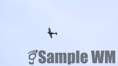 IMG_1539
Keywords: junkers,Mustang,P51,Electra,Blanik,Messerschmitt,ME262,BF 109,Spitfire,Corsair,Lockheed,P38 Lightning