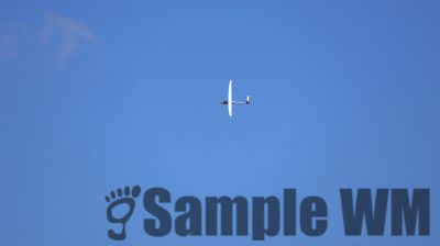 IMG_0186.JPG