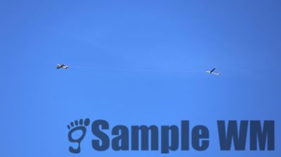 IMG_0252.JPG