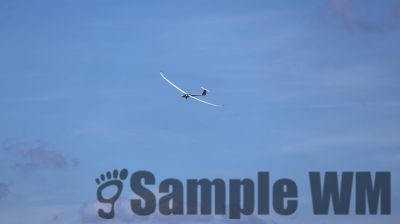 IMG_0282.JPG