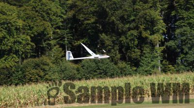 IMG_0342.JPG