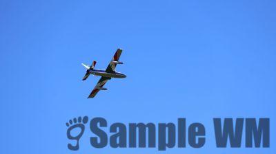 IMG_1695.JPG