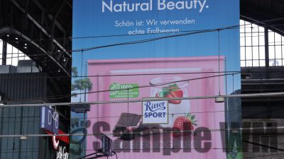 IMG_1252.JPG