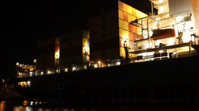 IMG_1315.JPG