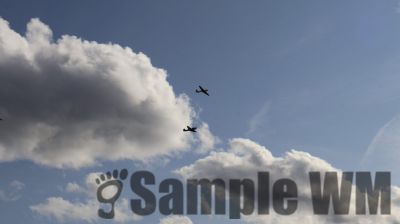 IMG_0034
Keywords: junkers,Mustang,P51,Electra,Blanik,Messerschmitt,ME262,BF 109,Spitfire,Corsair,Lockheed,P38 Lightning