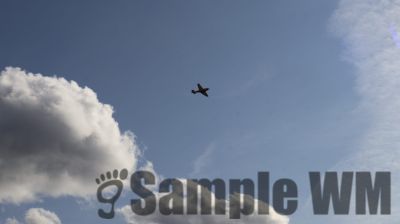 IMG_0036
Keywords: junkers,Mustang,P51,Electra,Blanik,Messerschmitt,ME262,BF 109,Spitfire,Corsair,Lockheed,P38 Lightning