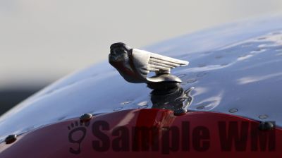 IMG_0043
Keywords: junkers,Mustang,P51,Electra,Blanik,Messerschmitt,ME262,BF 109,Spitfire,Corsair,Lockheed,P38 Lightning