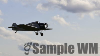 IMG_0050
Keywords: junkers,Mustang,P51,Electra,Blanik,Messerschmitt,ME262,BF 109,Spitfire,Corsair,Lockheed,P38 Lightning