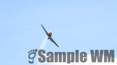 IMG_0095
Keywords: junkers,Mustang,P51,Electra,Blanik,Messerschmitt,ME262,BF 109,Spitfire,Corsair,Lockheed,P38 Lightning