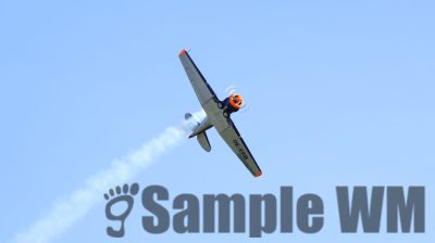 IMG_0112
Keywords: junkers,Mustang,P51,Electra,Blanik,Messerschmitt,ME262,BF 109,Spitfire,Corsair,Lockheed,P38 Lightning