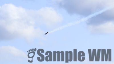 IMG_0121
Keywords: junkers,Mustang,P51,Electra,Blanik,Messerschmitt,ME262,BF 109,Spitfire,Corsair,Lockheed,P38 Lightning