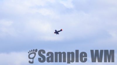 IMG_0122
Keywords: junkers,Mustang,P51,Electra,Blanik,Messerschmitt,ME262,BF 109,Spitfire,Corsair,Lockheed,P38 Lightning