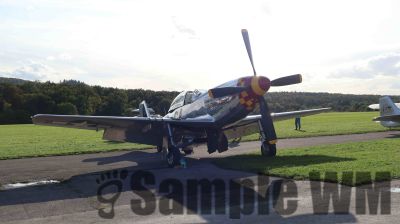 IMG_0134
Keywords: junkers,Mustang,P51,Electra,Blanik,Messerschmitt,ME262,BF 109,Spitfire,Corsair,Lockheed,P38 Lightning