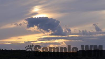 IMG_0174
Keywords: junkers,Mustang,P51,Electra,Blanik,Messerschmitt,ME262,BF 109,Spitfire,Corsair,Lockheed,P38 Lightning