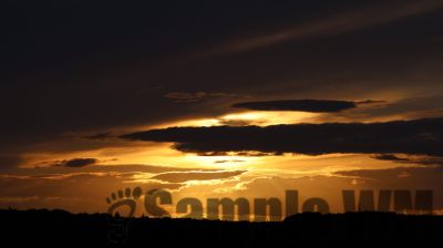 IMG_0226
Keywords: junkers,Mustang,P51,Electra,Blanik,Messerschmitt,ME262,BF 109,Spitfire,Corsair,Lockheed,P38 Lightning