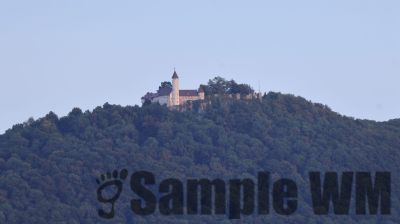 IMG_0228
Keywords: junkers,Mustang,P51,Electra,Blanik,Messerschmitt,ME262,BF 109,Spitfire,Corsair,Lockheed,P38 Lightning