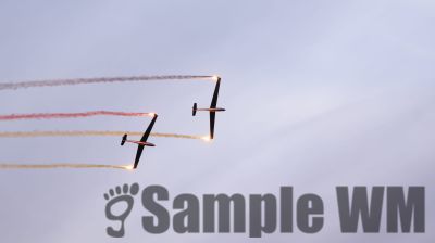 IMG_0308
Keywords: junkers,Mustang,P51,Electra,Blanik,Messerschmitt,ME262,BF 109,Spitfire,Corsair,Lockheed,P38 Lightning