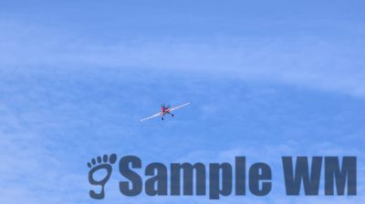 IMG_0363
Keywords: junkers,Mustang,P51,Electra,Blanik,Messerschmitt,ME262,BF 109,Spitfire,Corsair,Lockheed,P38 Lightning