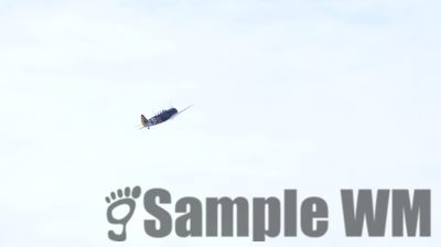 IMG_0385
Keywords: junkers,Mustang,P51,Electra,Blanik,Messerschmitt,ME262,BF 109,Spitfire,Corsair,Lockheed,P38 Lightning