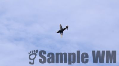 IMG_0403
Keywords: junkers,Mustang,P51,Electra,Blanik,Messerschmitt,ME262,BF 109,Spitfire,Corsair,Lockheed,P38 Lightning