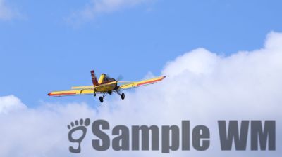 IMG_0423
Keywords: junkers,Mustang,P51,Electra,Blanik,Messerschmitt,ME262,BF 109,Spitfire,Corsair,Lockheed,P38 Lightning