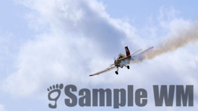 IMG_0433
Keywords: junkers,Mustang,P51,Electra,Blanik,Messerschmitt,ME262,BF 109,Spitfire,Corsair,Lockheed,P38 Lightning