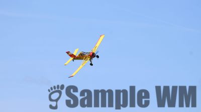 IMG_0445
Keywords: junkers,Mustang,P51,Electra,Blanik,Messerschmitt,ME262,BF 109,Spitfire,Corsair,Lockheed,P38 Lightning