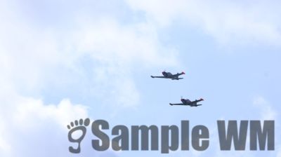 IMG_0473
Keywords: junkers,Mustang,P51,Electra,Blanik,Messerschmitt,ME262,BF 109,Spitfire,Corsair,Lockheed,P38 Lightning