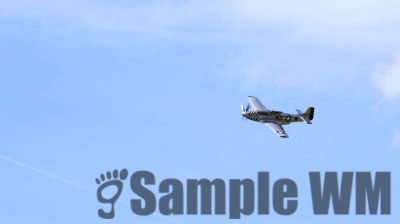 IMG_0511
Keywords: junkers,Mustang,P51,Electra,Blanik,Messerschmitt,ME262,BF 109,Spitfire,Corsair,Lockheed,P38 Lightning