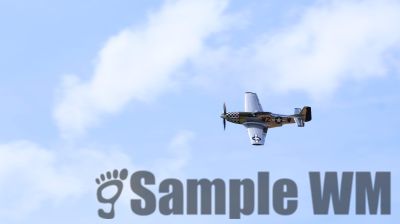 IMG_0512
Keywords: junkers,Mustang,P51,Electra,Blanik,Messerschmitt,ME262,BF 109,Spitfire,Corsair,Lockheed,P38 Lightning