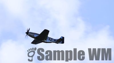 IMG_0516
Keywords: junkers,Mustang,P51,Electra,Blanik,Messerschmitt,ME262,BF 109,Spitfire,Corsair,Lockheed,P38 Lightning