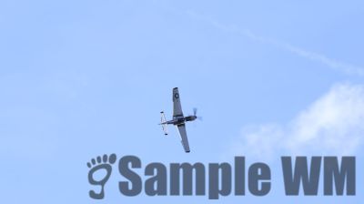 IMG_0520
Keywords: junkers,Mustang,P51,Electra,Blanik,Messerschmitt,ME262,BF 109,Spitfire,Corsair,Lockheed,P38 Lightning