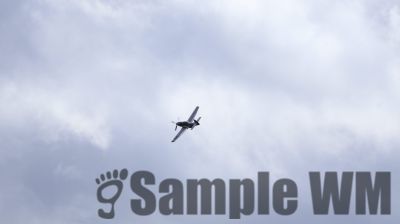 IMG_0526
Keywords: junkers,Mustang,P51,Electra,Blanik,Messerschmitt,ME262,BF 109,Spitfire,Corsair,Lockheed,P38 Lightning