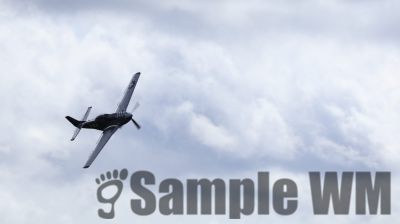 IMG_0534
Keywords: junkers,Mustang,P51,Electra,Blanik,Messerschmitt,ME262,BF 109,Spitfire,Corsair,Lockheed,P38 Lightning