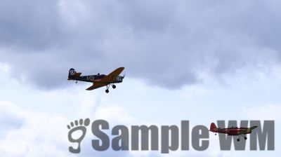 IMG_0542
Keywords: junkers,Mustang,P51,Electra,Blanik,Messerschmitt,ME262,BF 109,Spitfire,Corsair,Lockheed,P38 Lightning