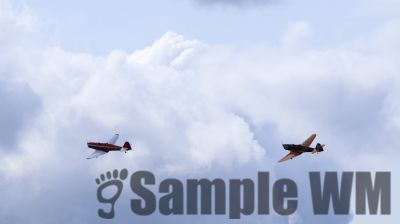 IMG_0544
Keywords: junkers,Mustang,P51,Electra,Blanik,Messerschmitt,ME262,BF 109,Spitfire,Corsair,Lockheed,P38 Lightning