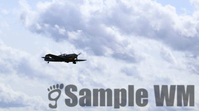 IMG_0559
Keywords: junkers,Mustang,P51,Electra,Blanik,Messerschmitt,ME262,BF 109,Spitfire,Corsair,Lockheed,P38 Lightning