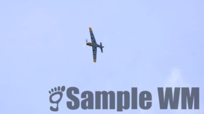 IMG_0563
Keywords: junkers,Mustang,P51,Electra,Blanik,Messerschmitt,ME262,BF 109,Spitfire,Corsair,Lockheed,P38 Lightning