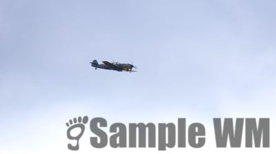 IMG_0568
Keywords: junkers,Mustang,P51,Electra,Blanik,Messerschmitt,ME262,BF 109,Spitfire,Corsair,Lockheed,P38 Lightning