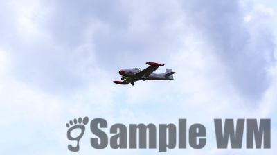 IMG_0584
Keywords: junkers,Mustang,P51,Electra,Blanik,Messerschmitt,ME262,BF 109,Spitfire,Corsair,Lockheed,P38 Lightning