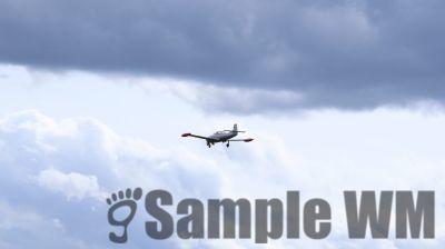 IMG_0586
Keywords: junkers,Mustang,P51,Electra,Blanik,Messerschmitt,ME262,BF 109,Spitfire,Corsair,Lockheed,P38 Lightning