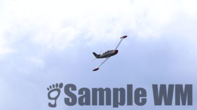 IMG_0597
Keywords: junkers,Mustang,P51,Electra,Blanik,Messerschmitt,ME262,BF 109,Spitfire,Corsair,Lockheed,P38 Lightning