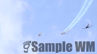 IMG_0663
Keywords: junkers,Mustang,P51,Electra,Blanik,Messerschmitt,ME262,BF 109,Spitfire,Corsair,Lockheed,P38 Lightning