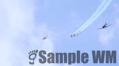 IMG_0666
Keywords: junkers,Mustang,P51,Electra,Blanik,Messerschmitt,ME262,BF 109,Spitfire,Corsair,Lockheed,P38 Lightning