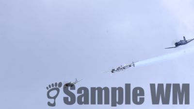 IMG_0684
Keywords: junkers,Mustang,P51,Electra,Blanik,Messerschmitt,ME262,BF 109,Spitfire,Corsair,Lockheed,P38 Lightning