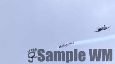 IMG_0688
Keywords: junkers,Mustang,P51,Electra,Blanik,Messerschmitt,ME262,BF 109,Spitfire,Corsair,Lockheed,P38 Lightning