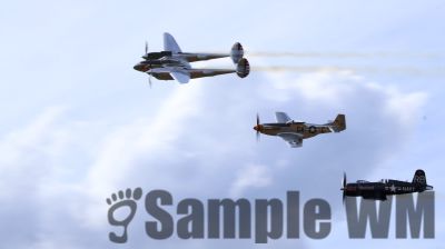 IMG_0860
Keywords: junkers,Mustang,P51,Electra,Blanik,Messerschmitt,ME262,BF 109,Spitfire,Corsair,Lockheed,P38 Lightning